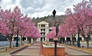 Exterior - Best view at The Landing!  (Lake Hamilton)