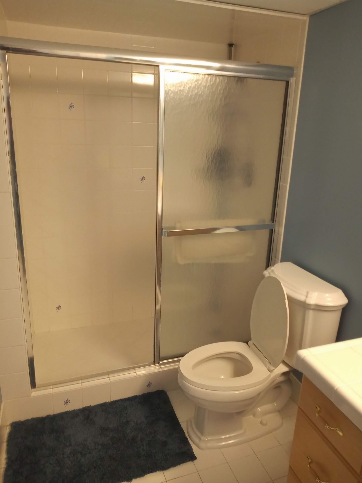 A bathroom with a glass-enclosed shower, a toilet, and a dark blue rug on the floor.