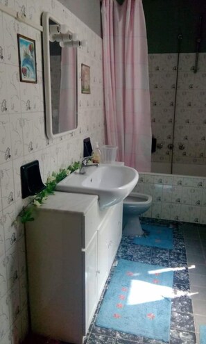 Bathtub, deep-soaking bathtub, hair dryer, bidet