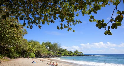 Cottage bellamente actualizado en el corazón de la ciudad de Hana, capacidad para 2 personas con 1 cama / 1ba