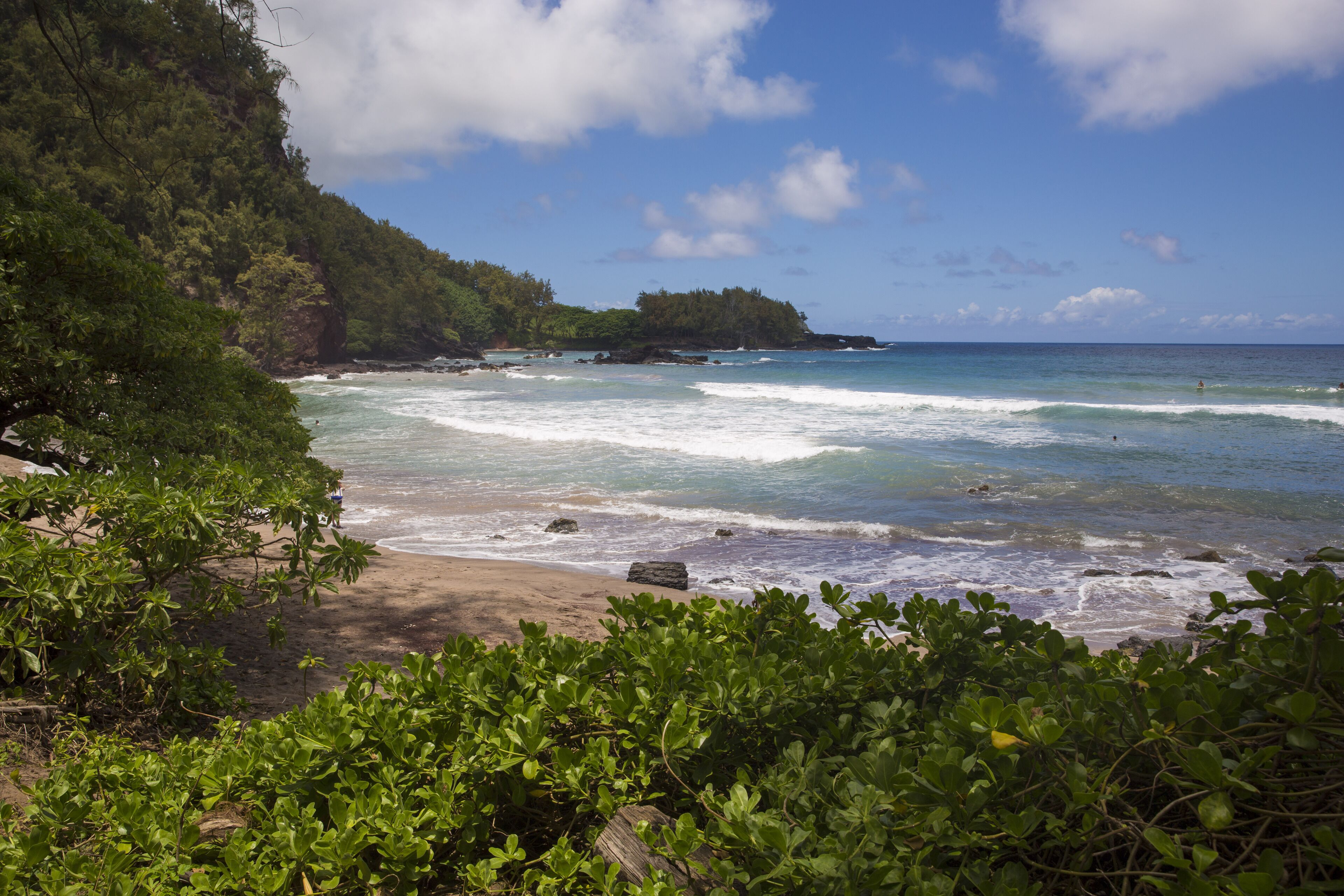 A beach with clear waters, a sandy shore, and lush greenery.
