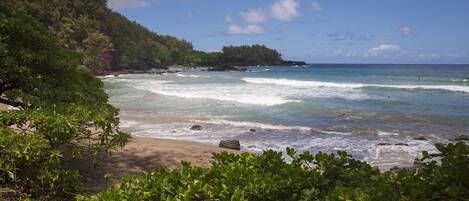 A beach with clear waters, a sandy shore, and lush greenery.