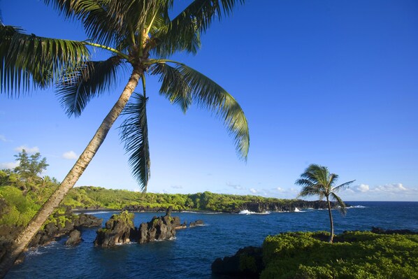 A tropical beach with palm trees, rocky outcrops, and clear blue water.