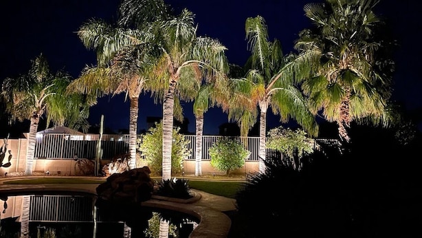 Vue nocturne d’un espace piscine agrémenté de palmiers et délimité par une clôture.