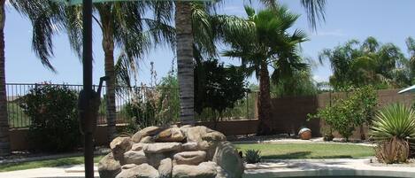 屋外プール、温水プール