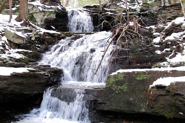 Waterfall in the woods