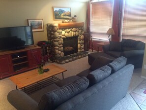 Smart TV, chimenea, reproductor de DVD y libros 