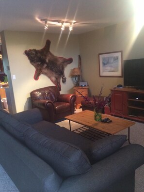 Smart TV, fireplace, DVD player, books