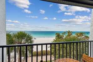 Property grounds - New Tastefully Remodeled Direct Gulf Front 1BR/BA Paradise - Very Clean (Indian Rocks Beach)