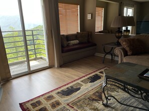 Smart TV, caminetto, lettore DVD