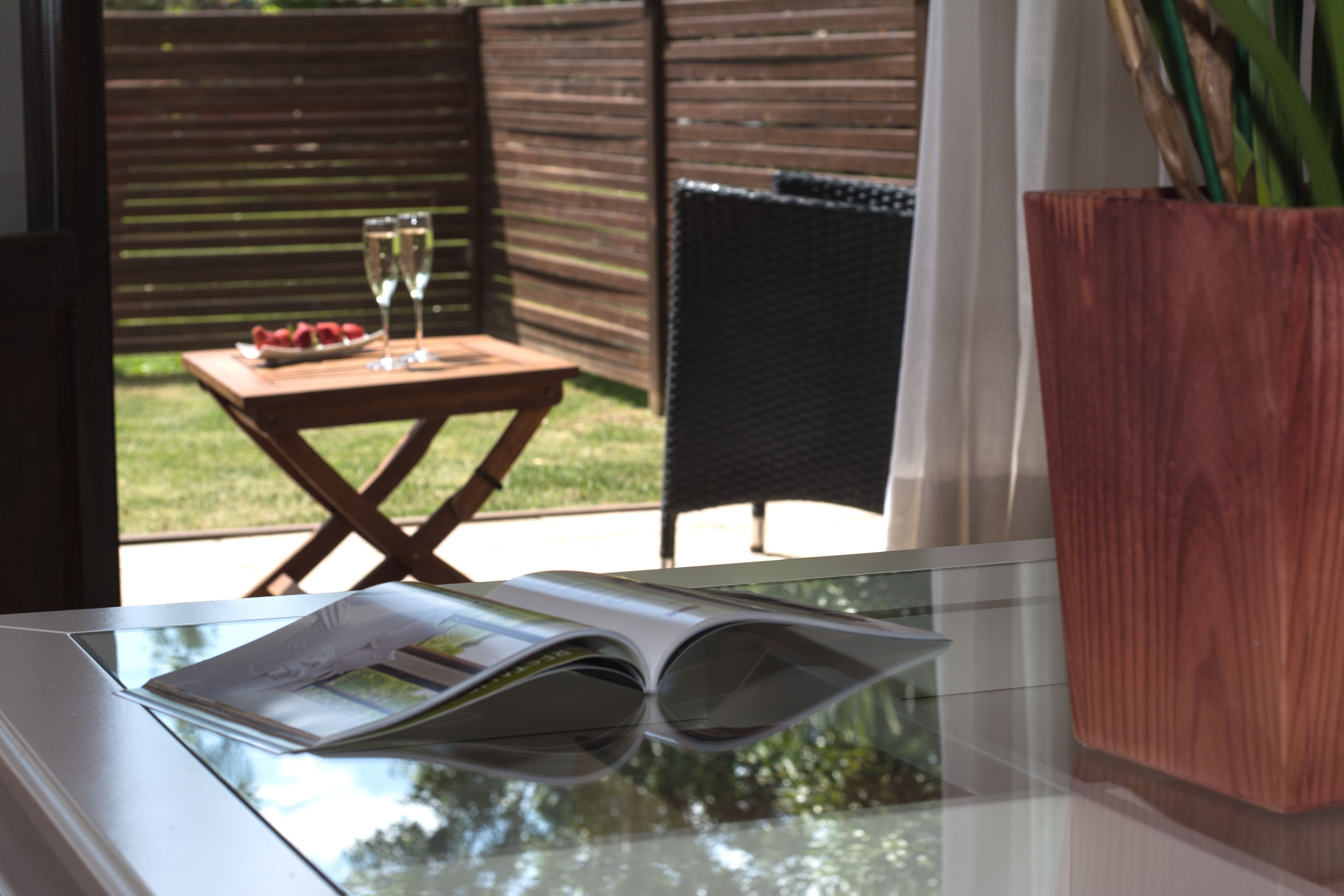 Een glazen tafel met een tijdschrift, een houten bijzettafeltje met een glas wijn en aardbeien, en een potplant.