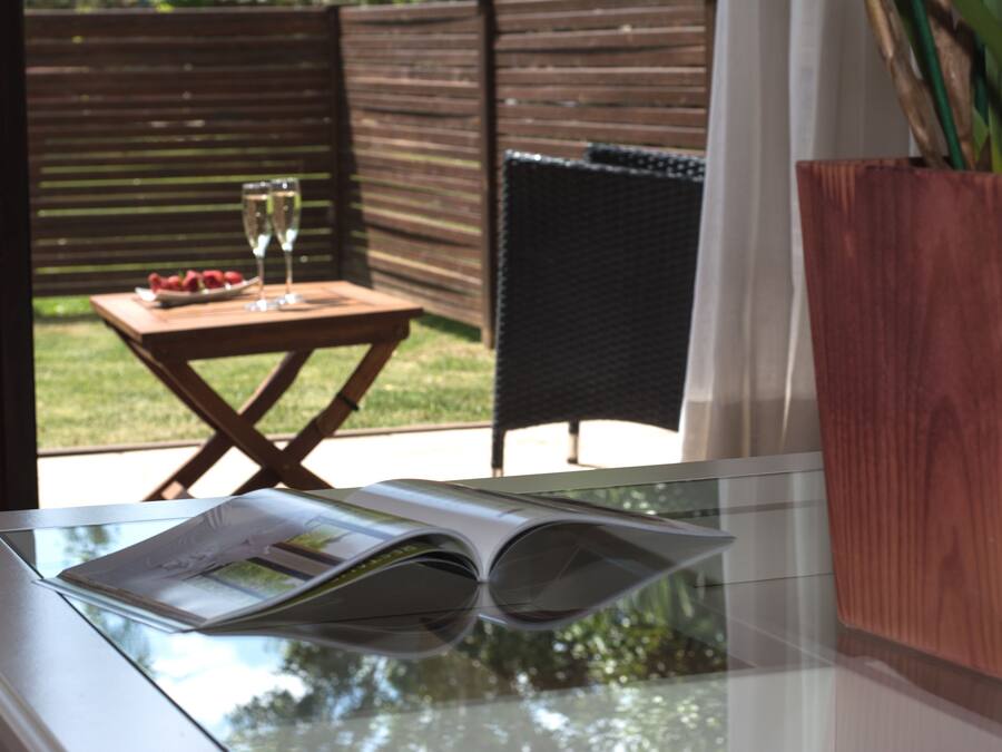 Een glazen tafel met een tijdschrift, een houten bijzettafeltje met een glas wijn en aardbeien, en een potplant.
