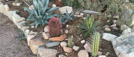 المنطقة المحيطة بالمنشأة