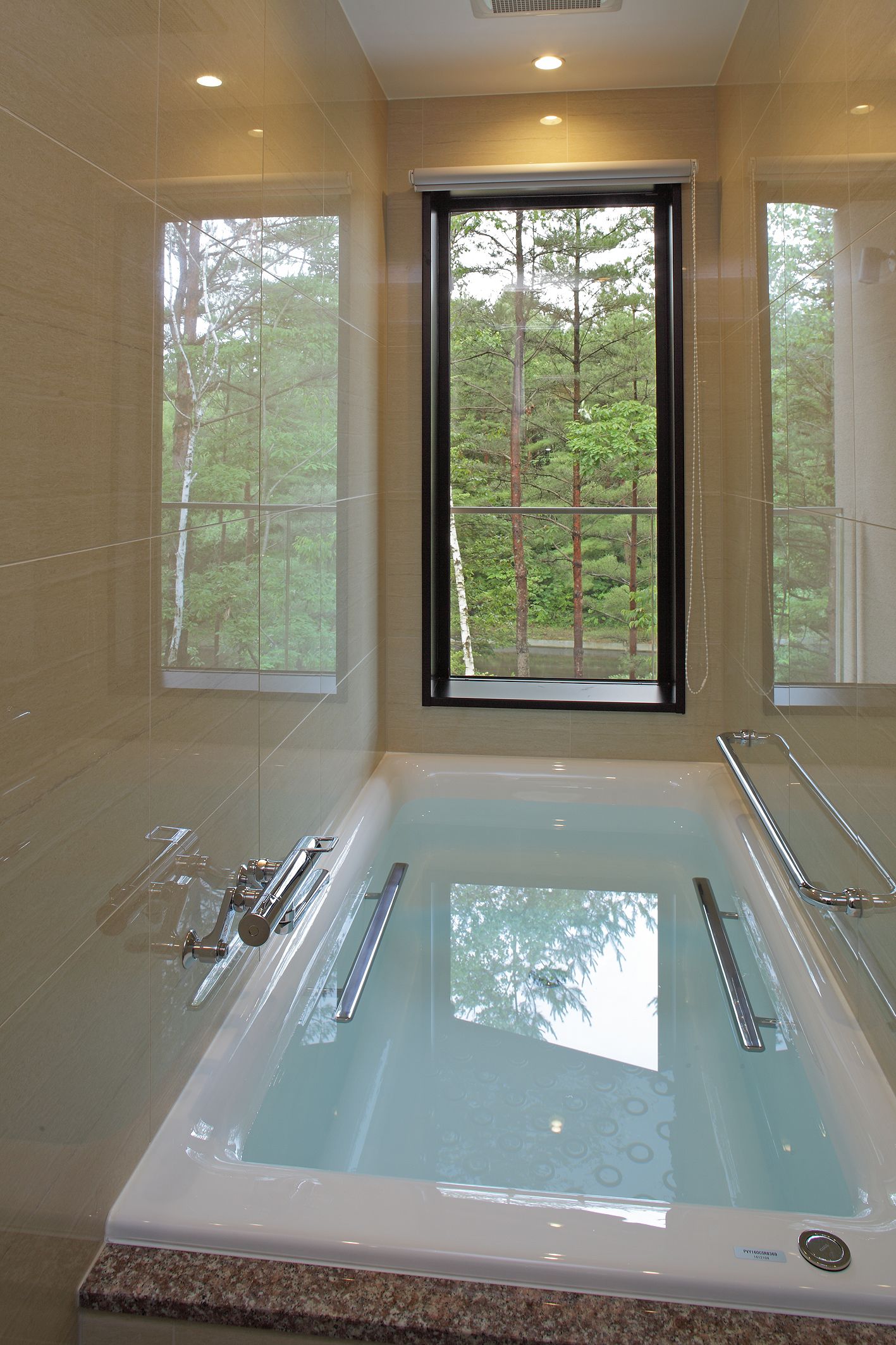 river terrace deluxe room | bathroom | separate bathtub and shower, deep-soaking bathtub, free toiletries