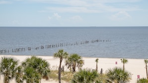 A beach with a row of wooden posts in the water, palm trees in the foreground, and a clear sky.