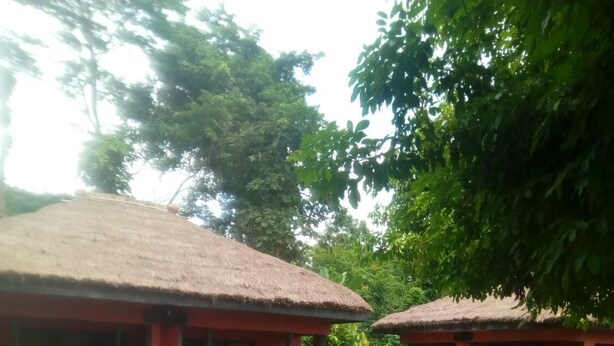A building with a thatched roof and red walls, surrounded by well-maintained grass and small bushes. - Big Foot Safari Lodge (Wli)