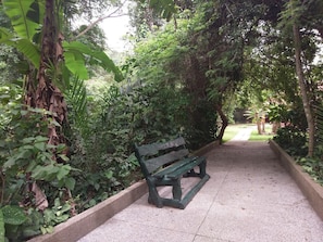 A pathway with a bench surrounded by dense greenery and trees.