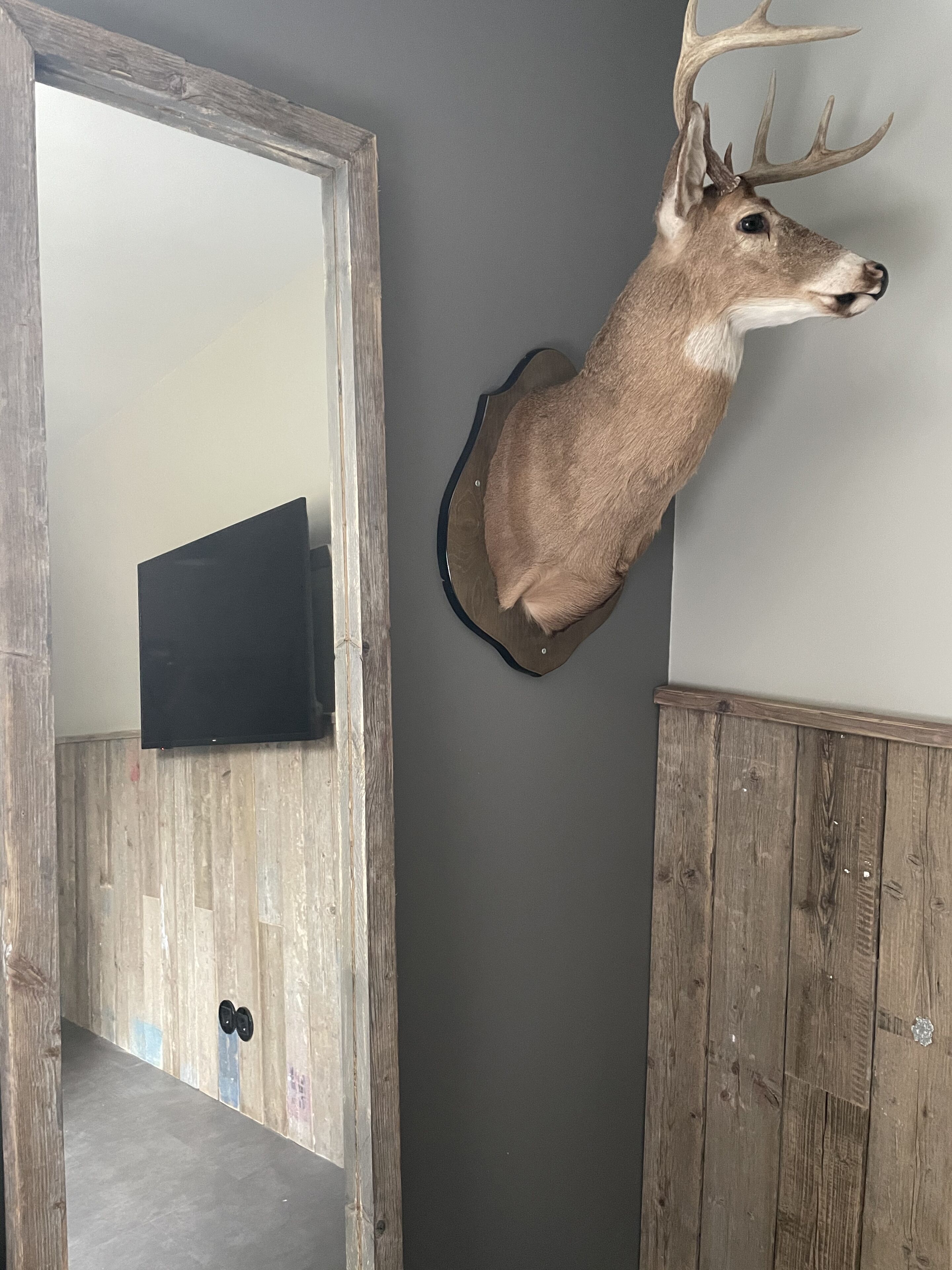 Um quarto com um chifre de veado fixado na parede, um armário de madeira e uma televisão na parede.