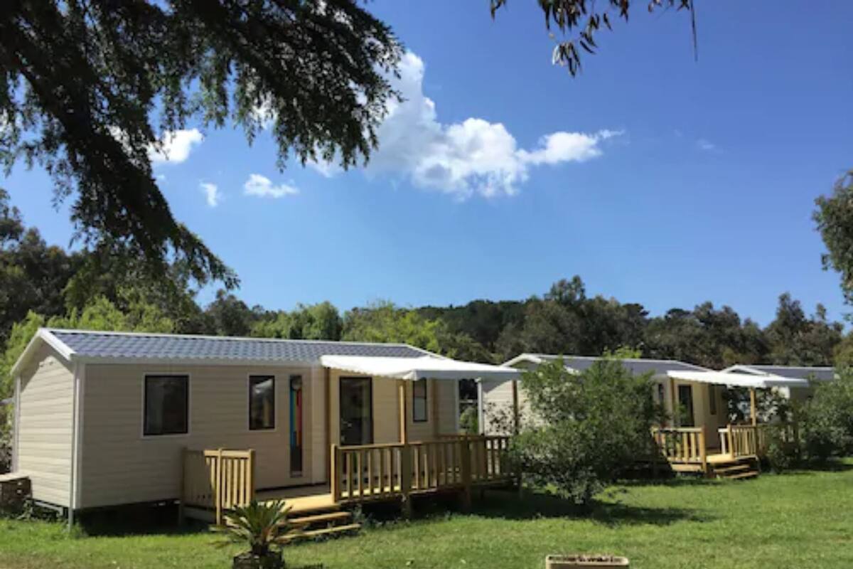 Una hilera de casas móviles con un patio cubierto de césped y árboles al fondo.