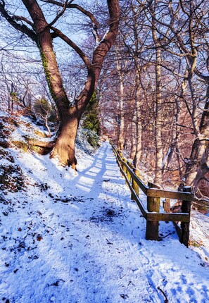 Un sendero cubierto de nieve con un banco de madera y una cerca de madera.
