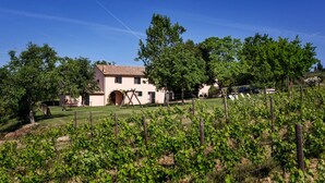 Property grounds - Casale Satriano (Montefalco)