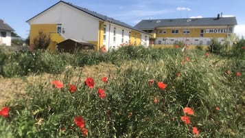 Blick auf den Garten