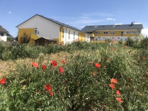 Vue sur le jardin