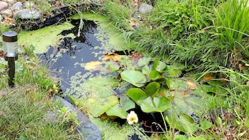 Jardín