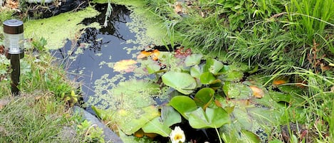 花園