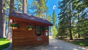 A wooden cabin with a gravel path leading to it, surrounded by tall trees.