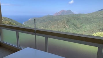 Basic Room, Balcony, Sea View | Terrace/patio