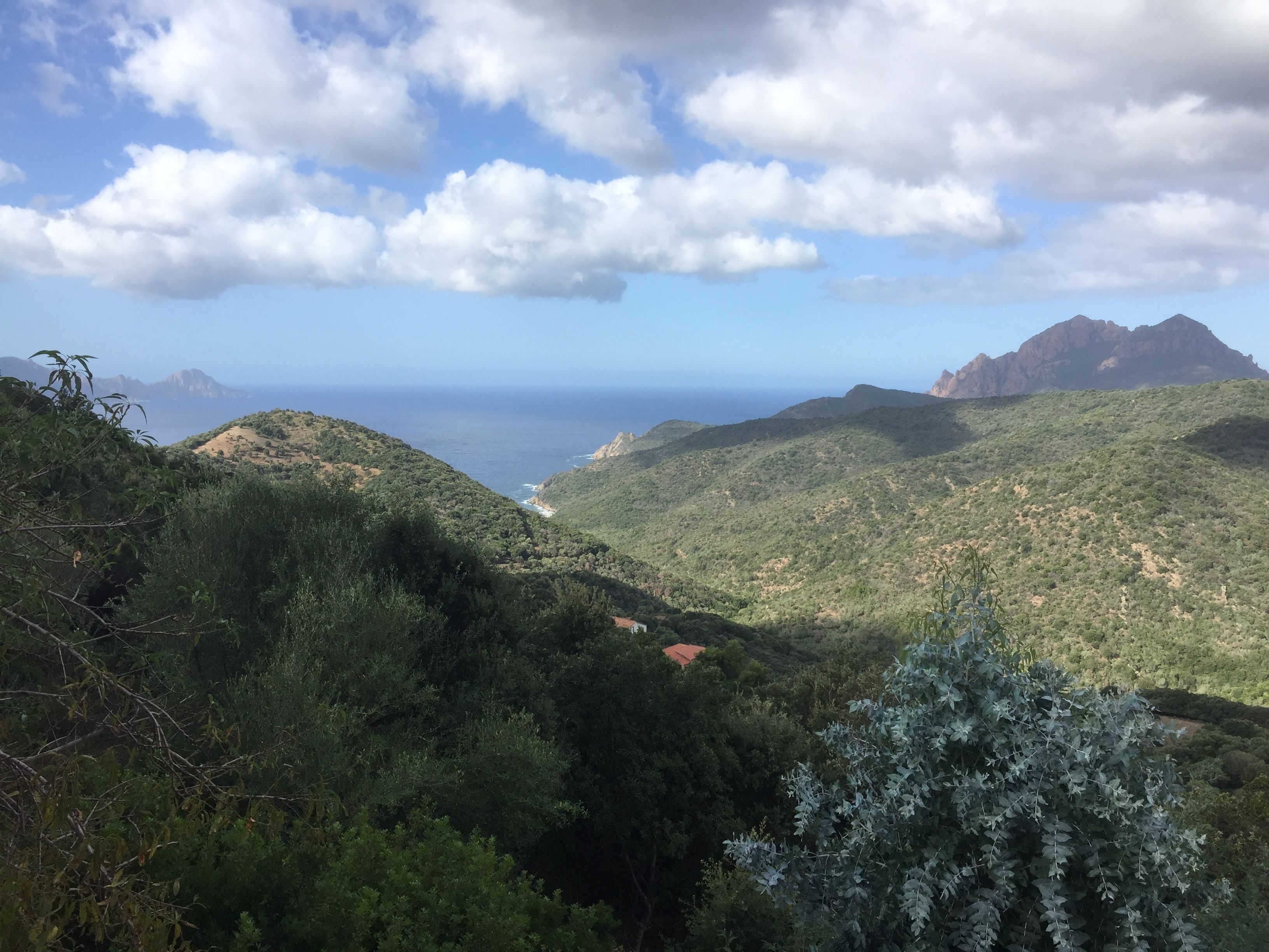 A mountainous landscape with dense greenery and a view of the ocean.