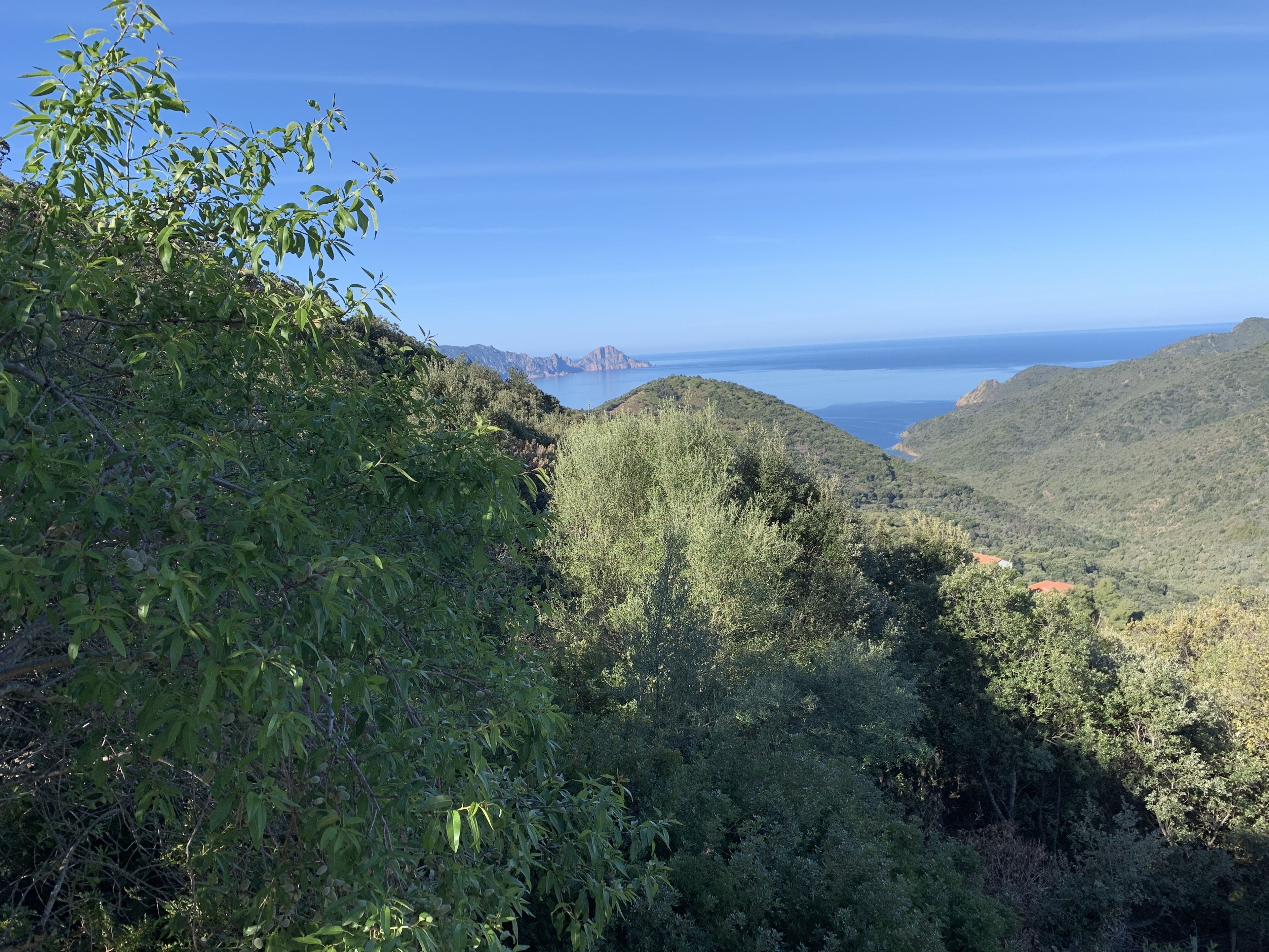 Paesaggio montuoso con vegetazione fitta e vista sul mare.
