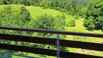Triple Room, Mountain View | Mountain view