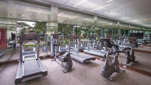 A gym with multiple treadmills and exercise equipment, large windows, and a carpeted floor.