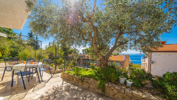 Garden - Apartment Stipan (Brela)