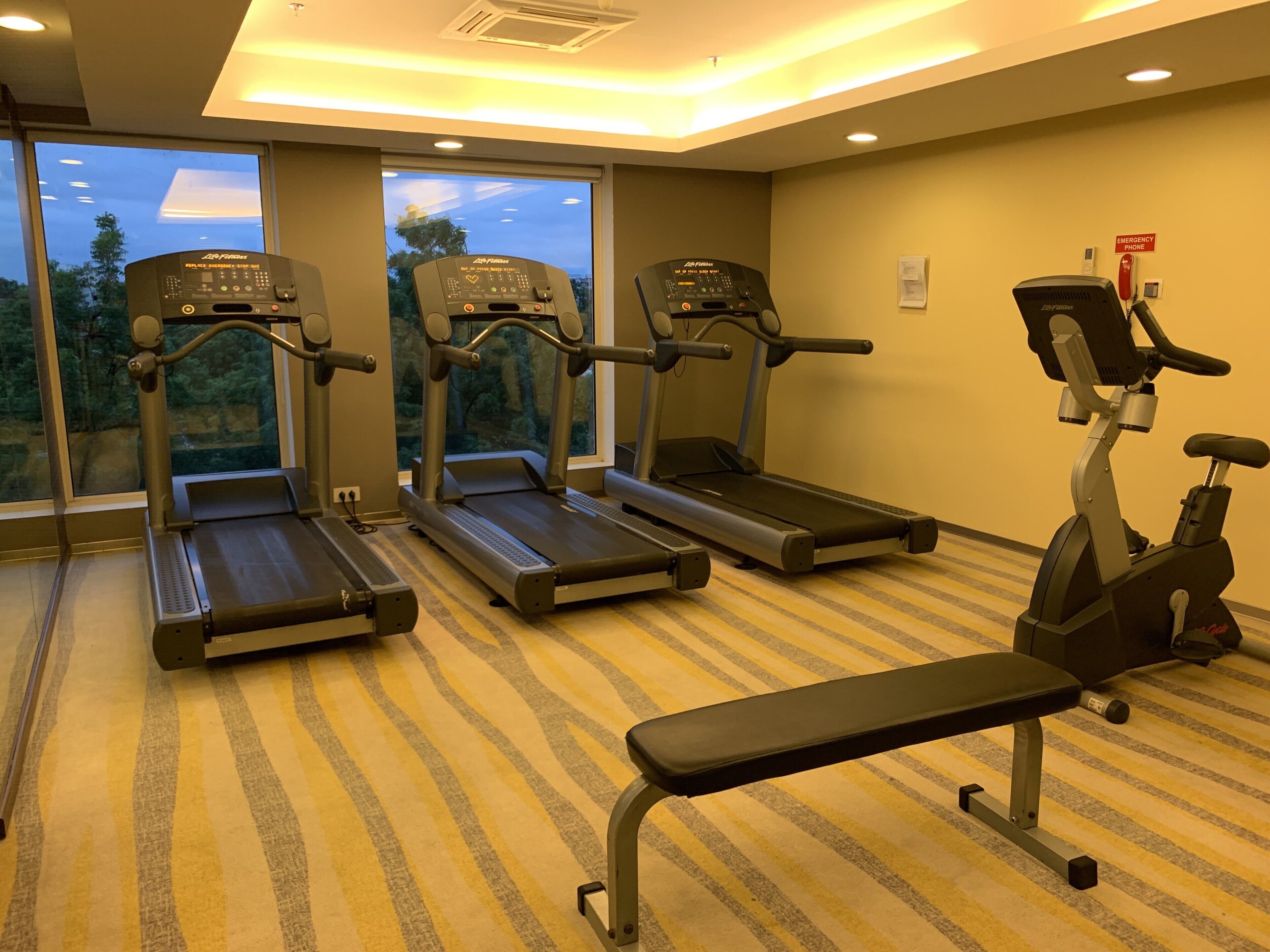 A gym with treadmills, an elliptical, and a bench.