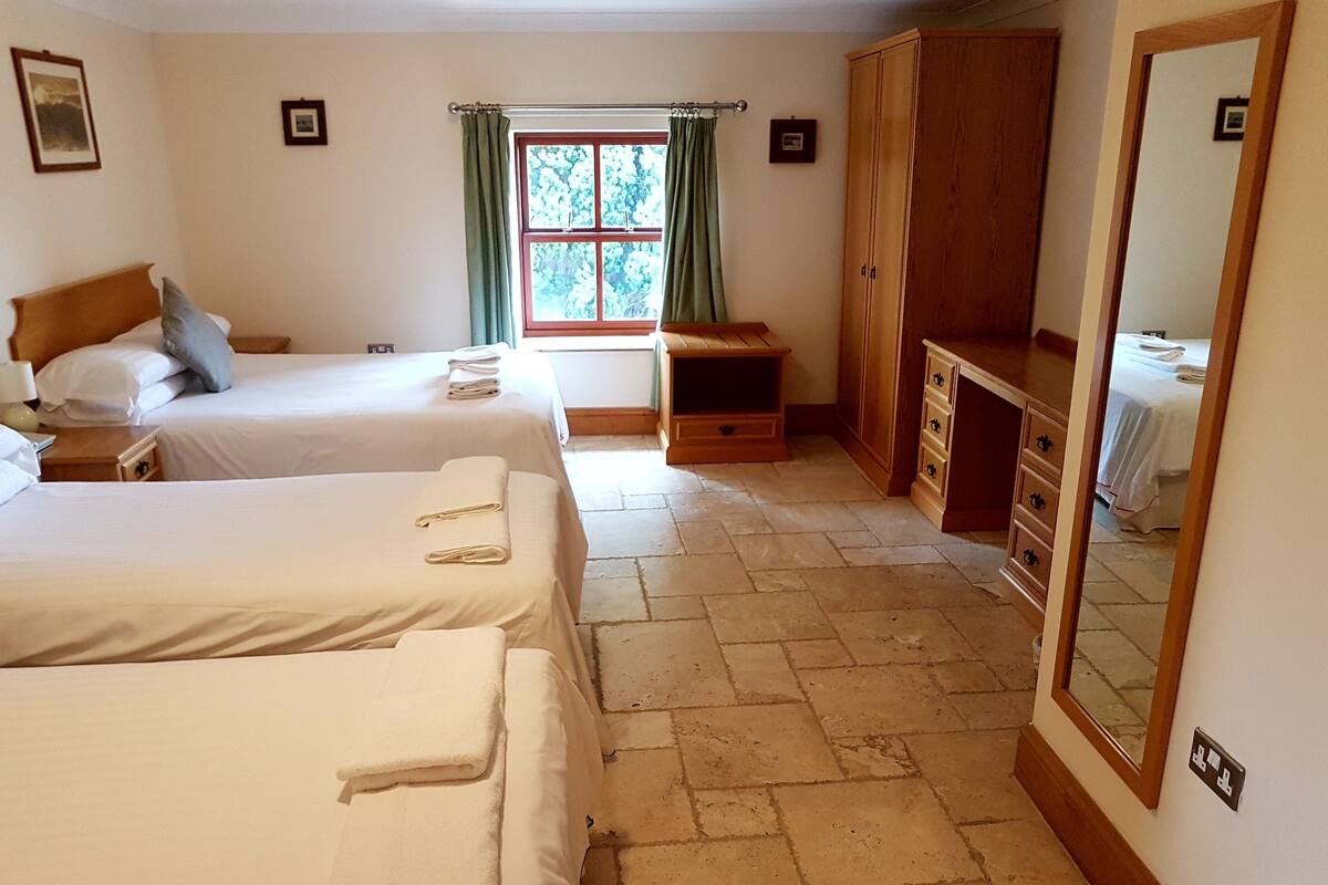 Family Room, Sleeps 4