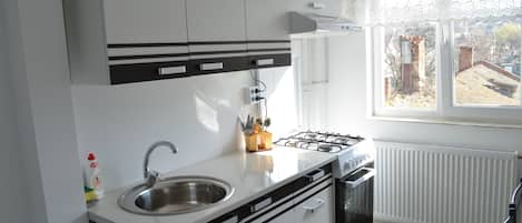 Signature Apartment, 1 Bedroom | Private kitchen | Full-size fridge, oven, stovetop, electric kettle