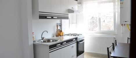 Standard Apartment, 1 Bedroom | Private kitchen | Full-size fridge, oven, stovetop, electric kettle