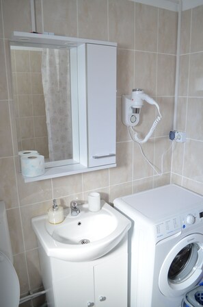 A bathroom with a sink, mirror, toilet paper, and a washing machine. - Alexys Residence 6 (Iasi)