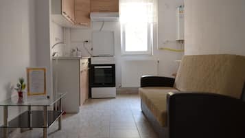City Apartment, 1 Bedroom | Private kitchen | Full-size fridge, oven, stovetop, electric kettle