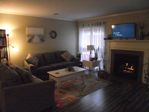 TV, fireplace, DVD player, books