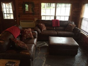 TV, fireplace, DVD player - SNOW'S LOG CABIN  ON LAKE DARDANELLE ON DUBLIN BAY 🐟🦌 (Scranton)