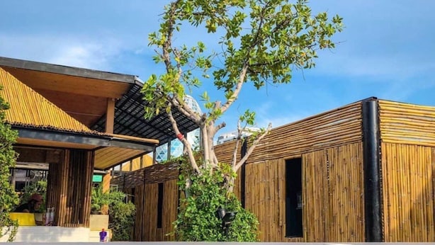 Un bâtiment moderne doté d’une piscine, d’une façade en bois et d’un arbre devant.