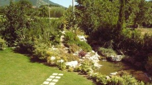 Een aangelegde tuin met een vijver, een pad van stenen en diverse beplanting.
