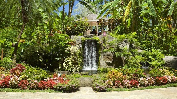 A lush garden with a waterfall, tropical plants, and a gazebo.