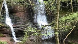 Una cascada natural en un área boscosa con terreno rocoso y rocas cubiertas de musgo.