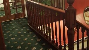 Una escalera con alfombra estampada, baranda de madera y pared roja con una planta.