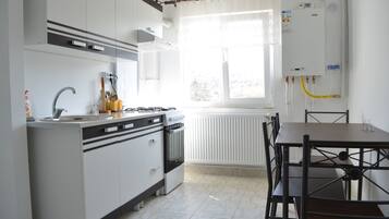 Basic Apartment, 1 Bedroom | Private kitchen